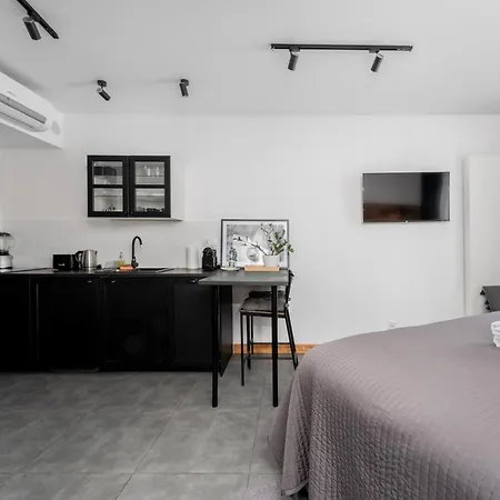 公寓 Wawel Kossak Loft By Bookinghost *